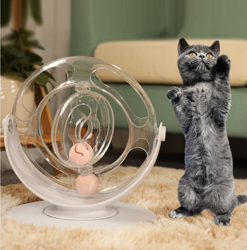 Cat Turntable Puzzle Toy