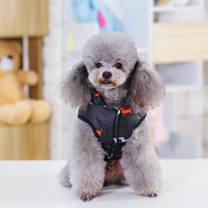 Small dog wearing a black harness with orange accents in a blurred indoor setting