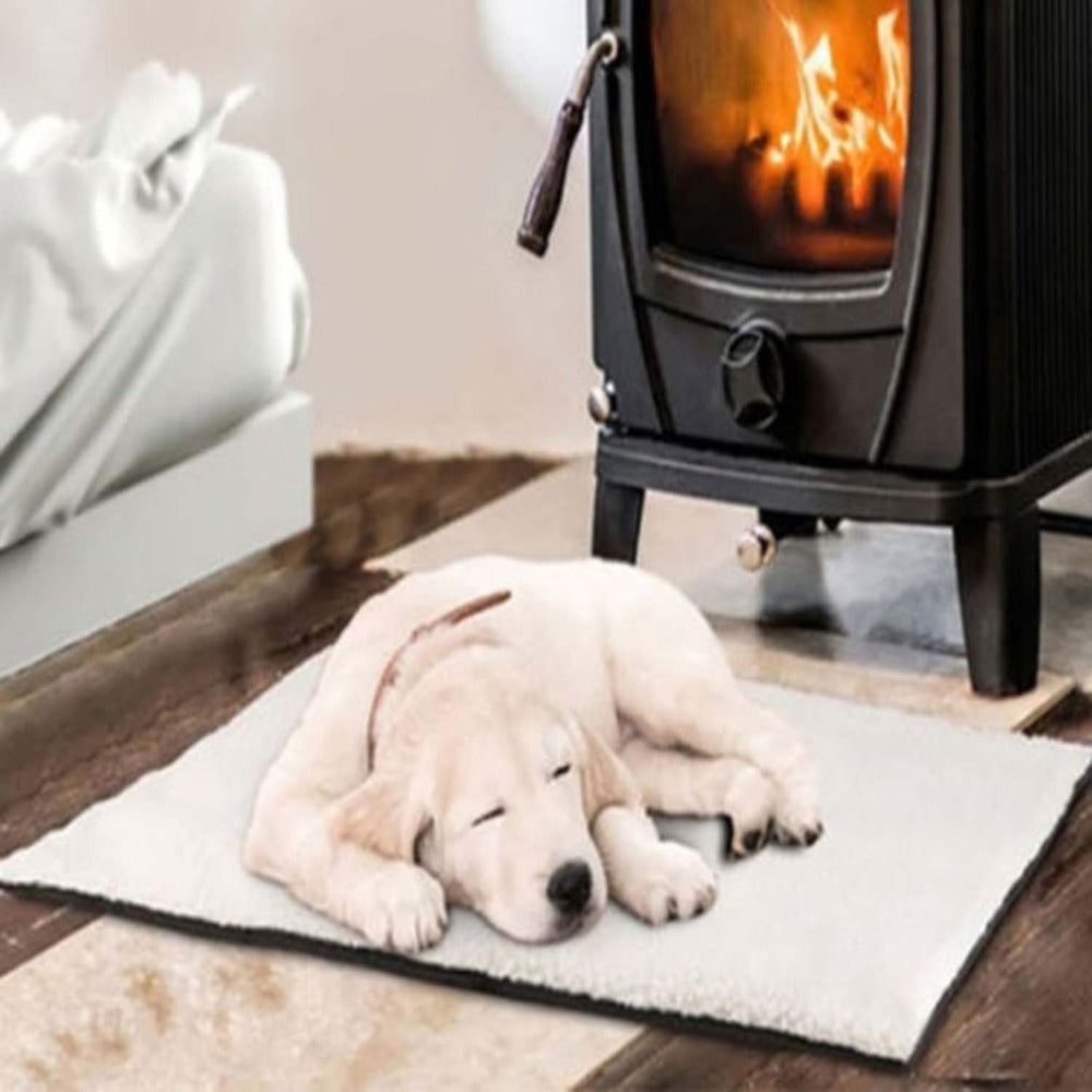 Dog sleeping on a mat in front of a fireplace