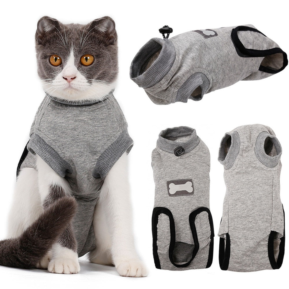 Cat wearing a gray sweater with additional views of the sweater on a white background