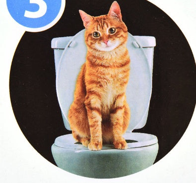 Cat sitting on a toilet with a black circle around it