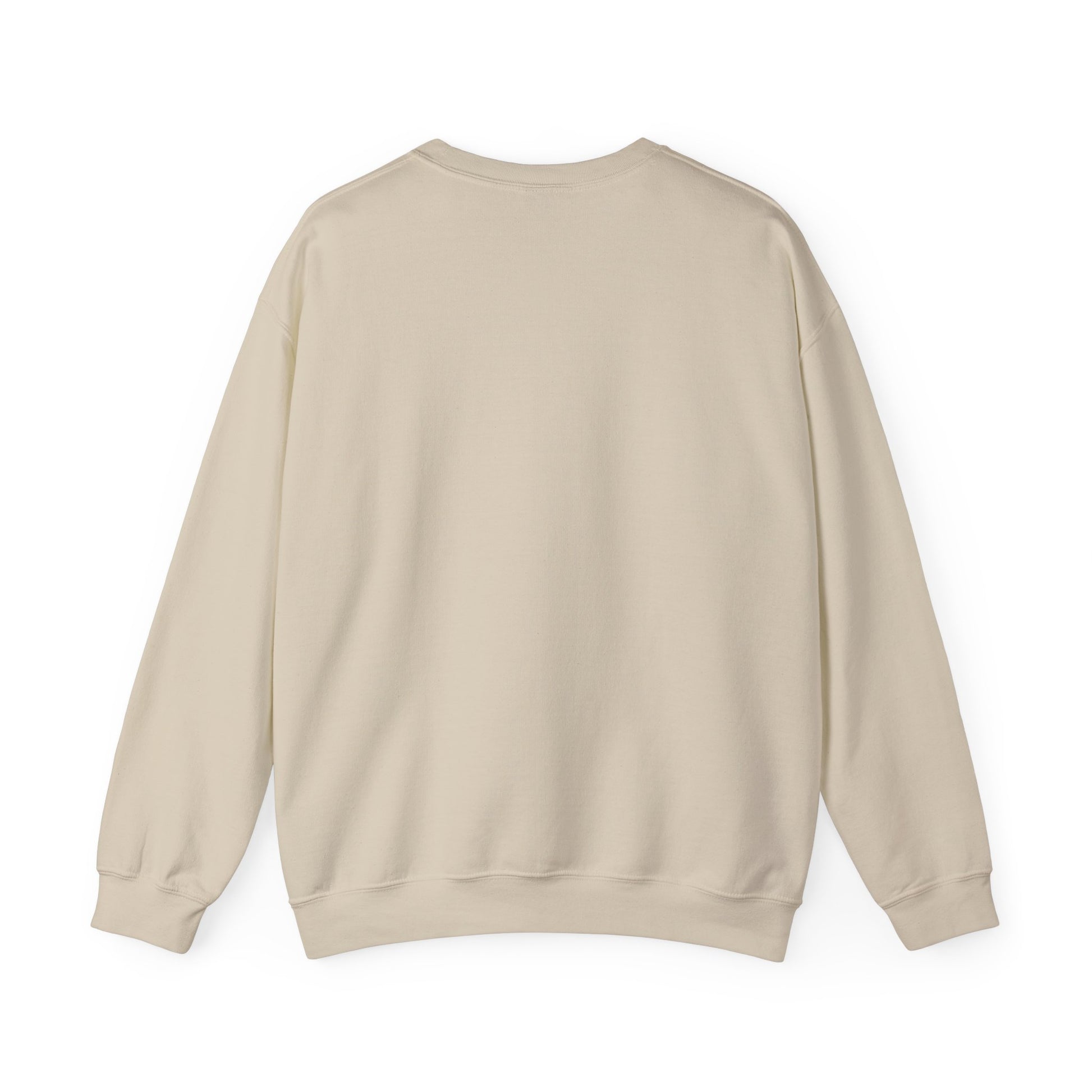 back view of sweatshirt