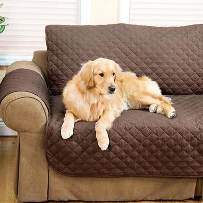 Dog lying on a brown quilted sofa cover