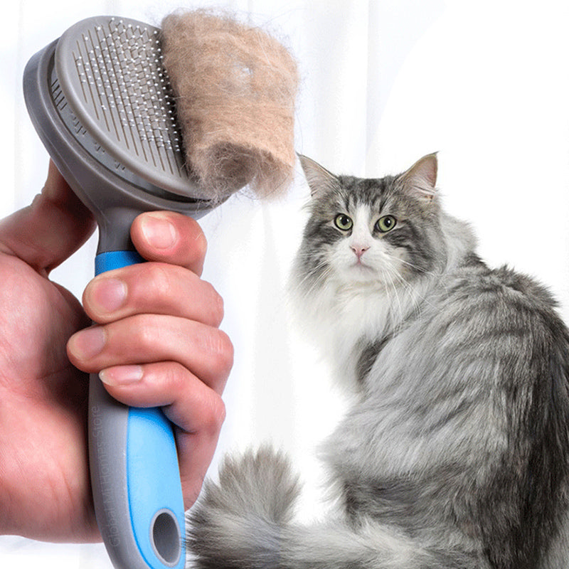 Pet grooming brush with collected fur and a fluffy cat on a white background
