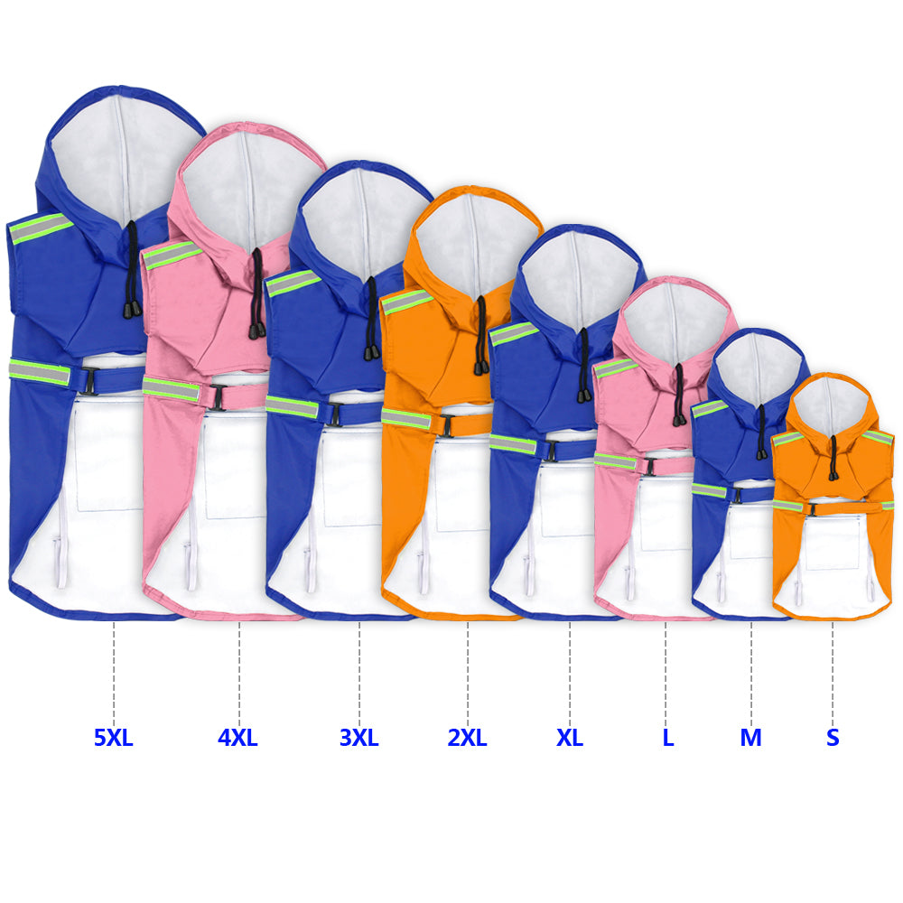 Set of dog raincoats in various sizes with color options on a white background