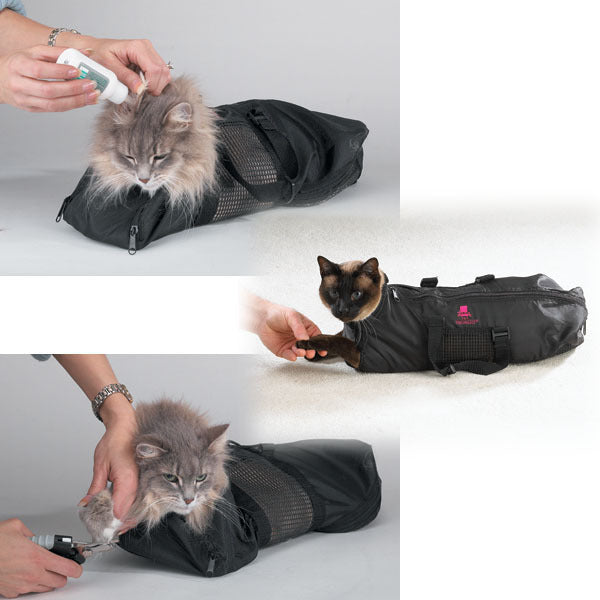 Black pet carrier with cats being examined by a person on a white background
