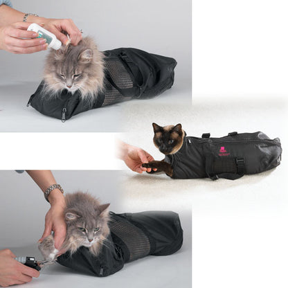 Black pet carrier with cats being examined by a person on a white background