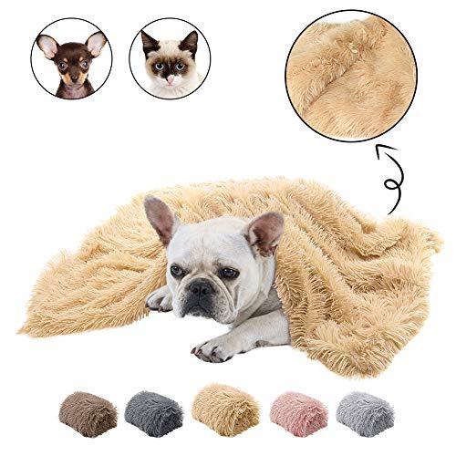 Fluffy beige pet blanket with a dog and cat on a white background, showing close-up of texture, and color swatches below.