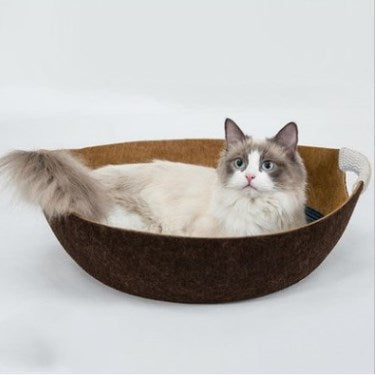 Cat lying in a brown pet bed on a white background