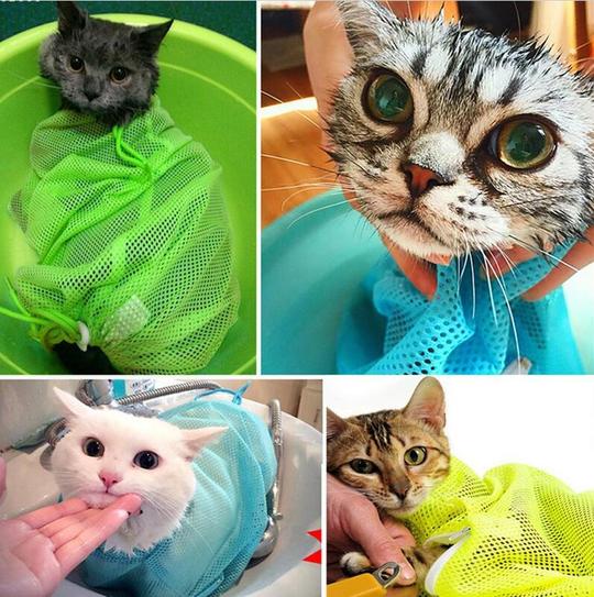 Collage of cats wrapped in colorful mesh sponges.