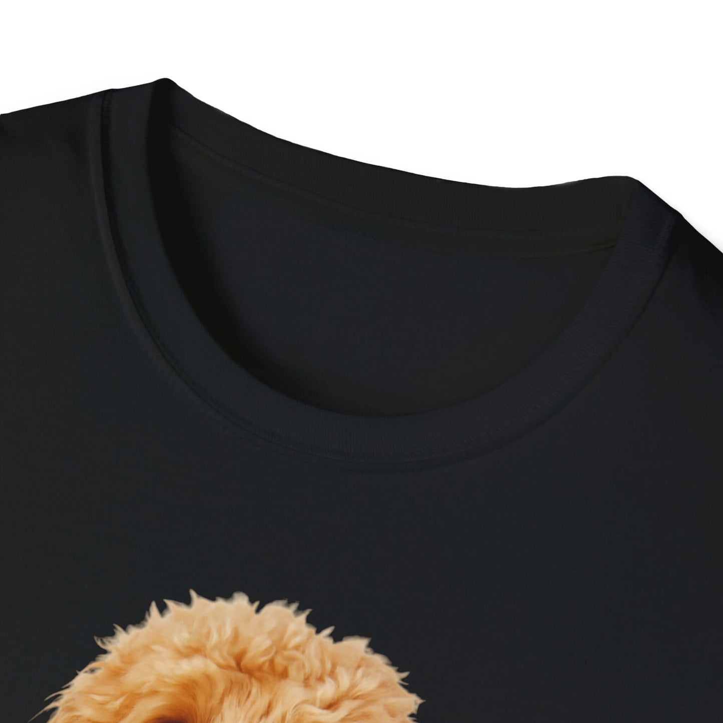 Birthday Dog T-Shirt featuring a lovable doodle pup, part of fun pet supplies for dogs and cats.