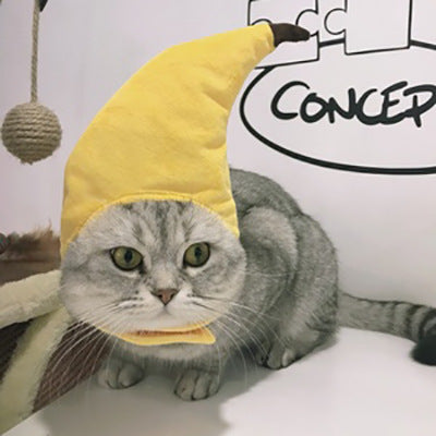 Cat wearing a banana hat with a white background and 'CONCEPT' branding.