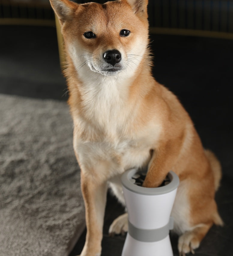 Electric Pet Paw Wash Cup