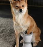 Electric Pet Paw Wash Cup