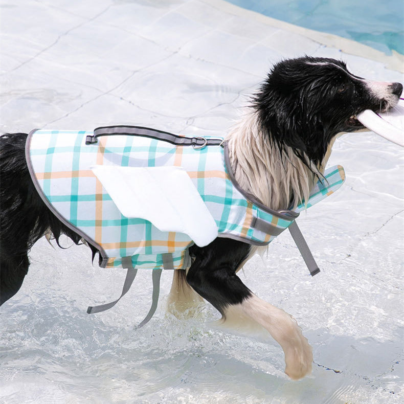 Dog running on a pool deck wearing a plaid dog coat.