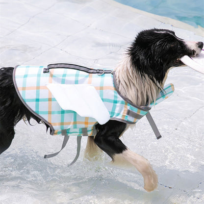 Dog running on a pool deck wearing a plaid dog coat.