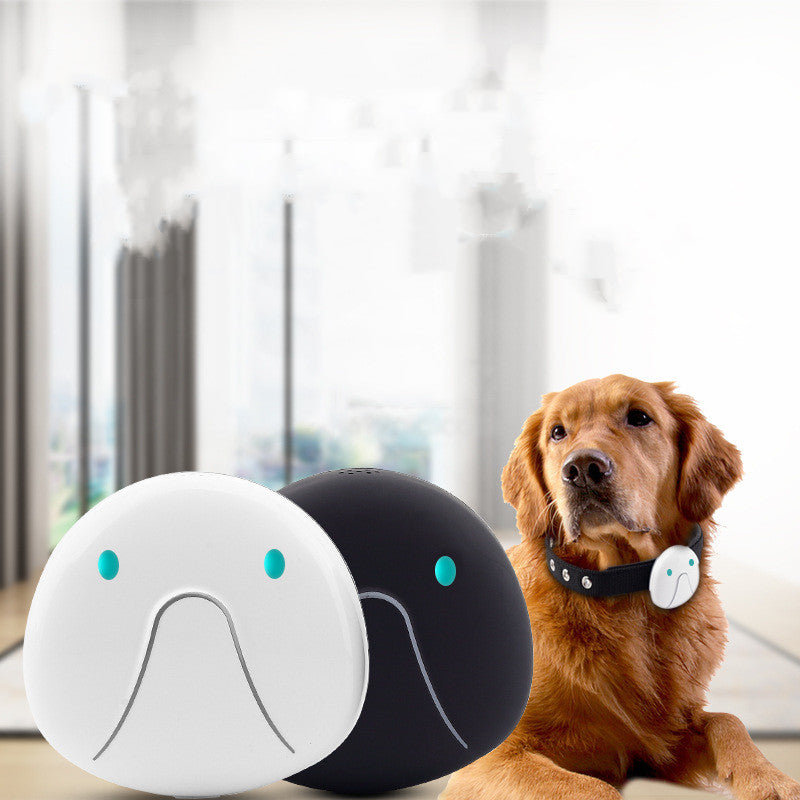 Two dog collars with electronic devices and a golden retriever wearing one of them indoors.