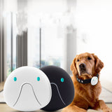 Two dog collars with electronic devices and a golden retriever wearing one of them indoors.