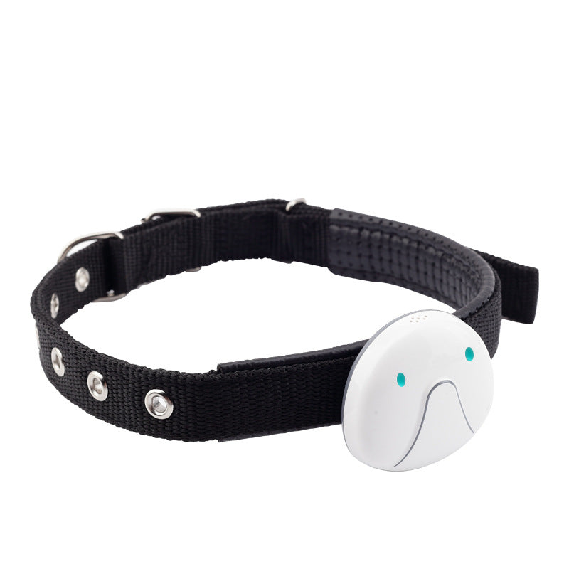 Black dog collar with a white electronic device on a white background