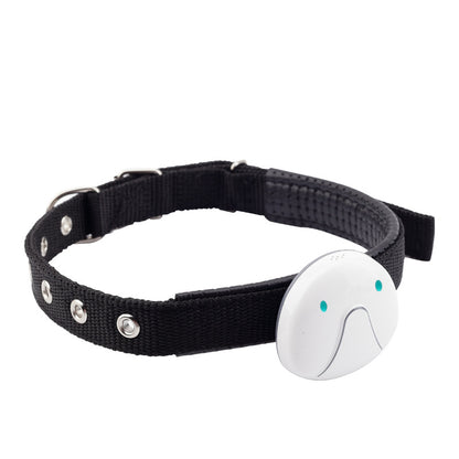 Black dog collar with a white electronic device on a white background