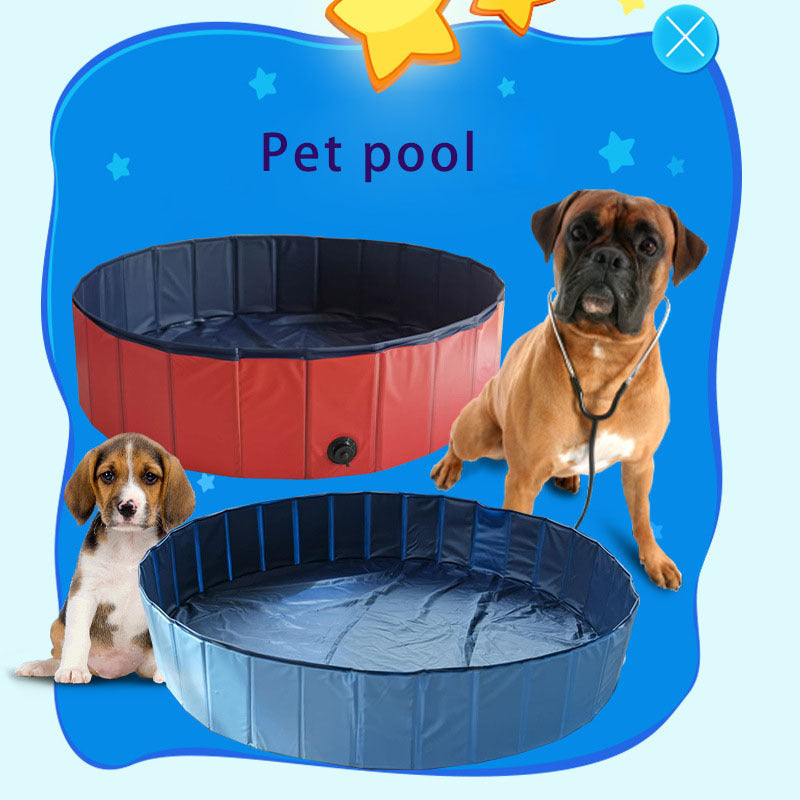 Two pet pools, one red and one blue, with two dogs on a blue background.