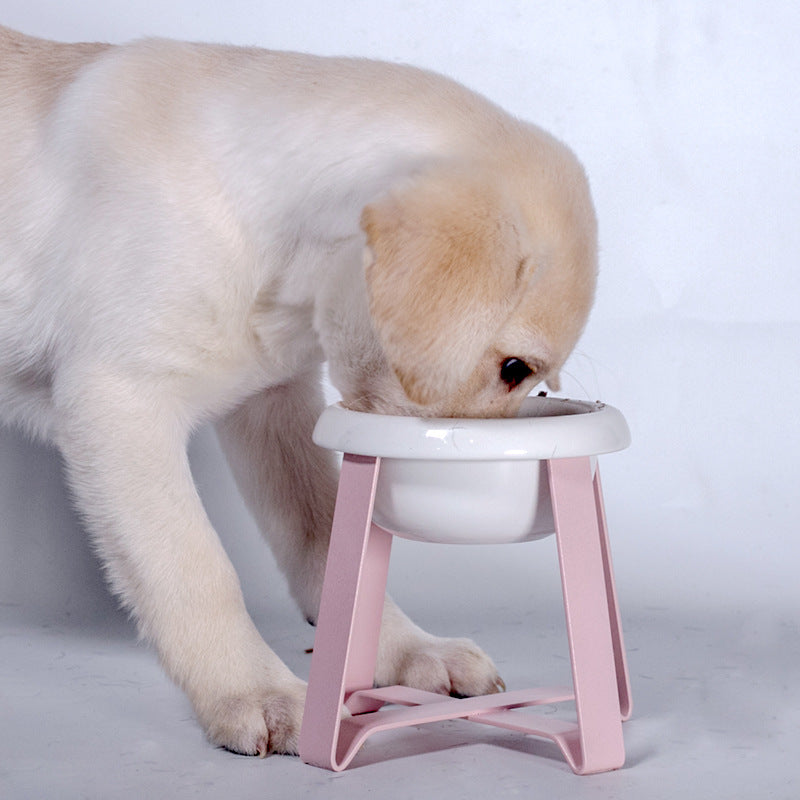 Antislip Elevated Cat Food Bowl with Iron Stand
