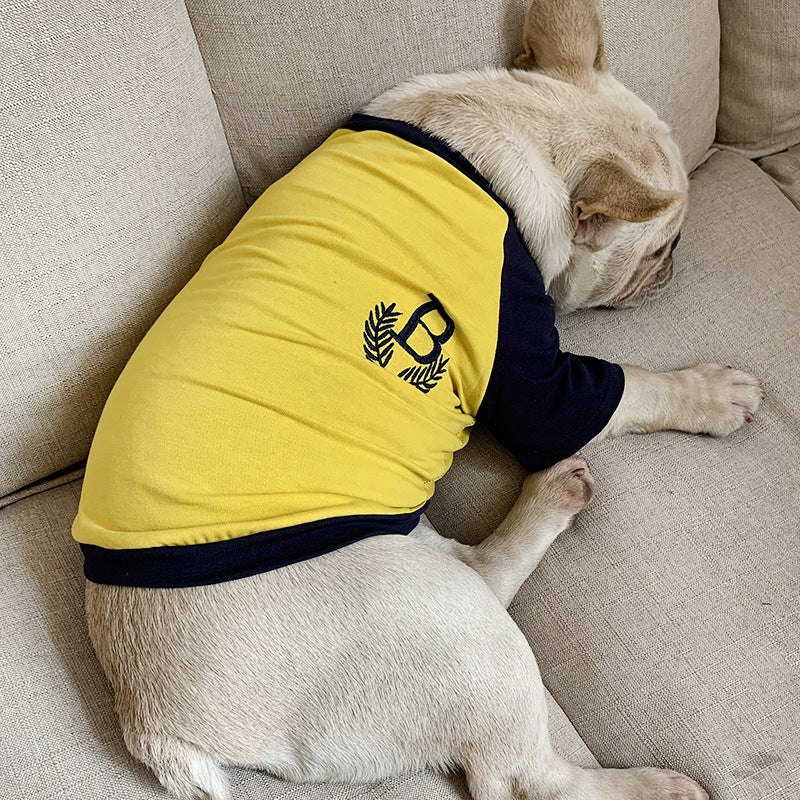 Dog wearing a yellow and navy sweater with a logo on a beige couch