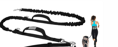 Black dog leash with a woman walking a dog on a white background