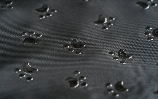 Printed Canvas Dog Mat