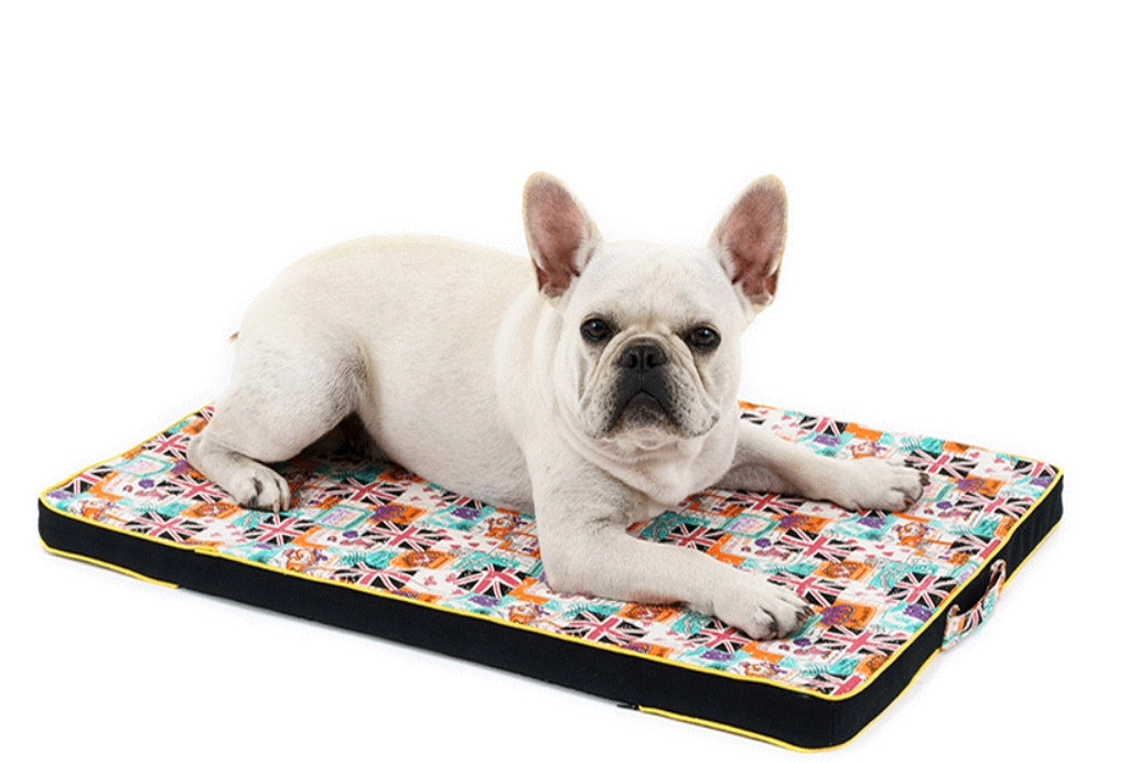 White dog lying on a colorful pet mat with a white background