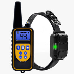 Dog training collar with remote control on a white background