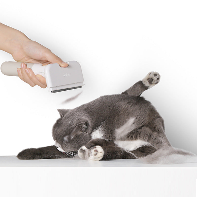 Person using a grooming brush on a gray cat with a white background