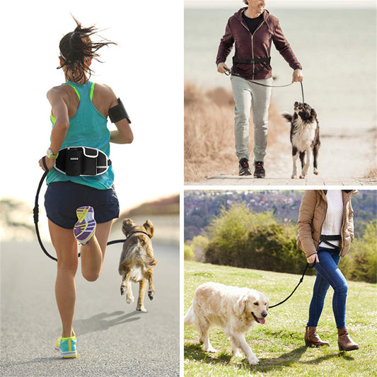 Collage of people walking dogs with a focus on the use of a black dog leash and belt.
