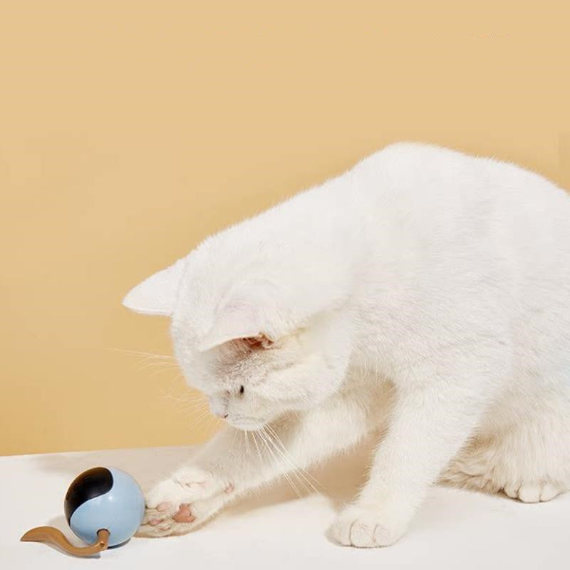 White cat playing with a small blue and brown toy on a beige background