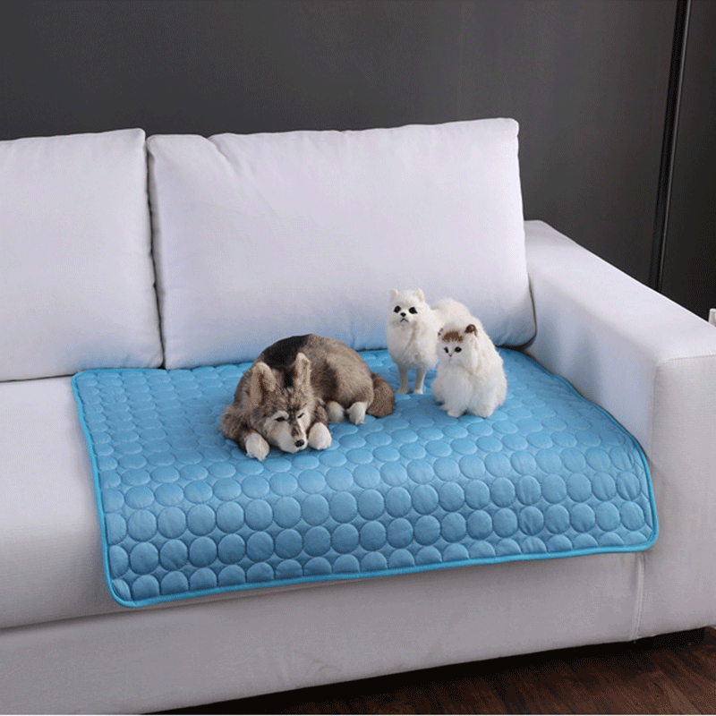 Blue pet mat on a white couch with three dogs on it