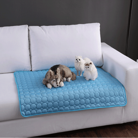 Blue pet mat on a white couch with three dogs on it