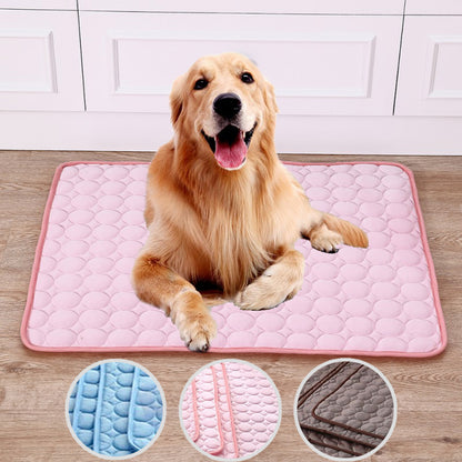 Dog lying on a pink pet mat with close-up insets of different textures.