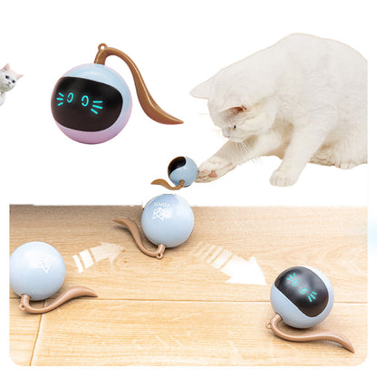 Pet toy with digital display and cat interacting on a white background
