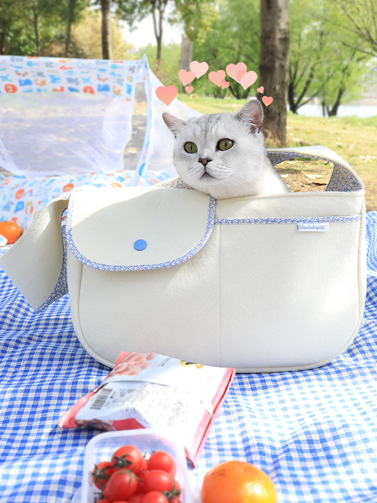 Cat sitting inside a white bag with blue accents on a picnic blanket outdoors.