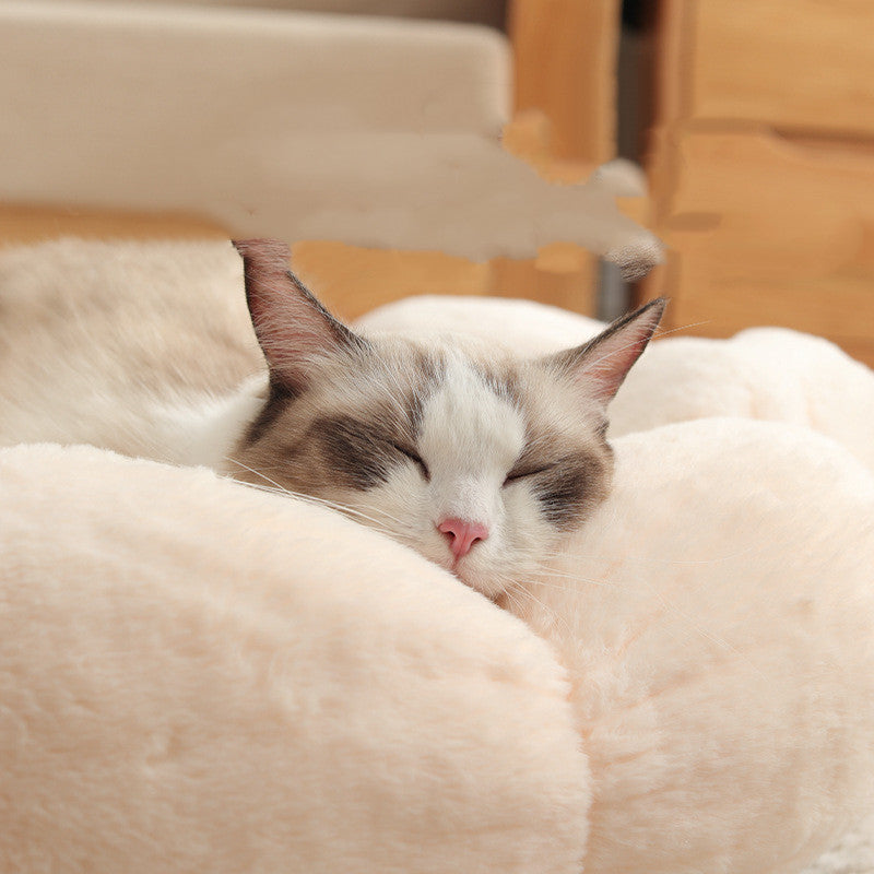 Cat sleeping on a fluffy beige cushion with a blurred background