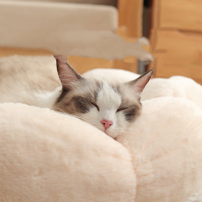 Cat sleeping on a fluffy beige cushion with a blurred background