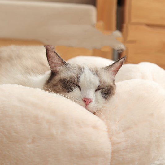 Cat sleeping on a fluffy beige cushion with a blurred background