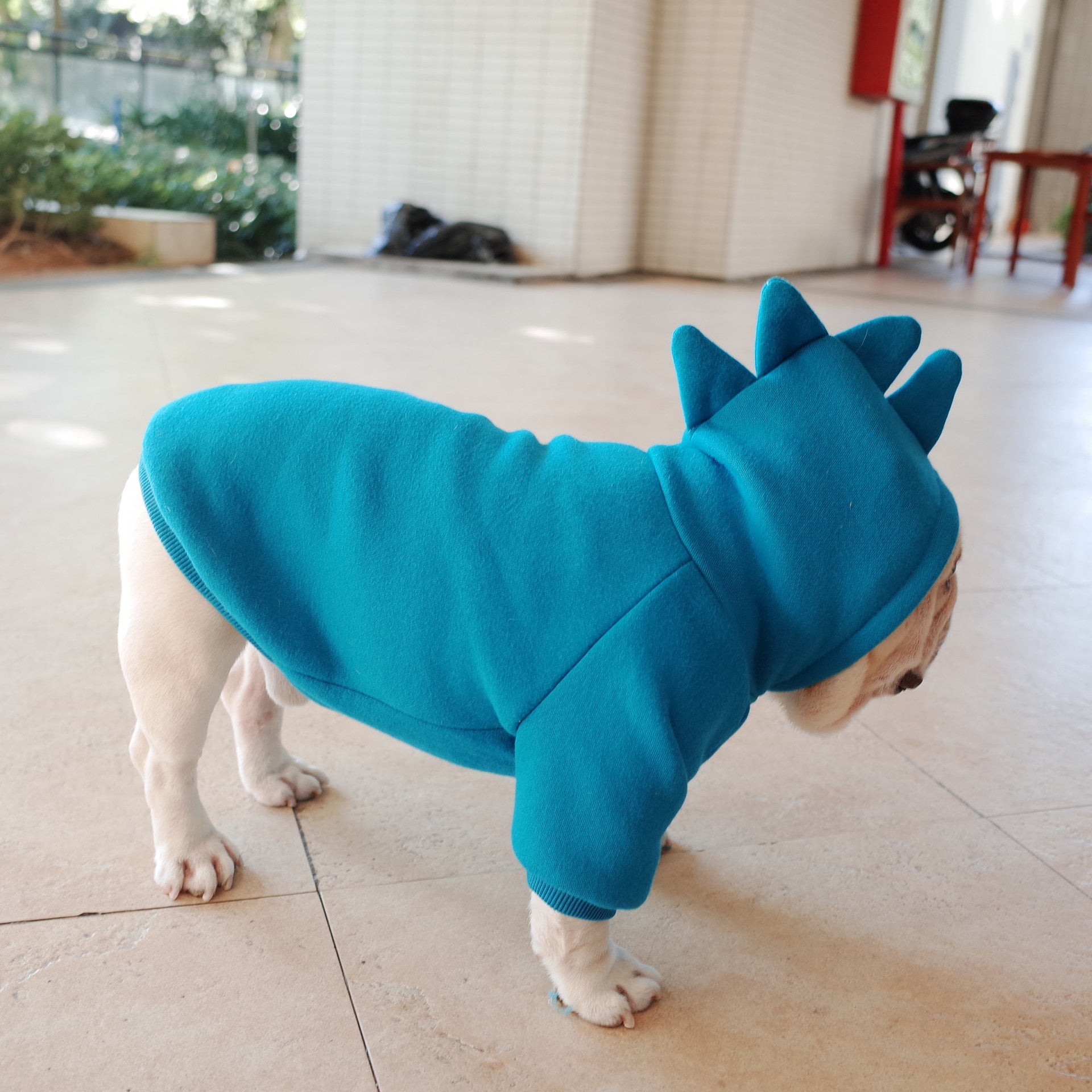 Dog wearing a blue dinosaur costume on a tiled floor.