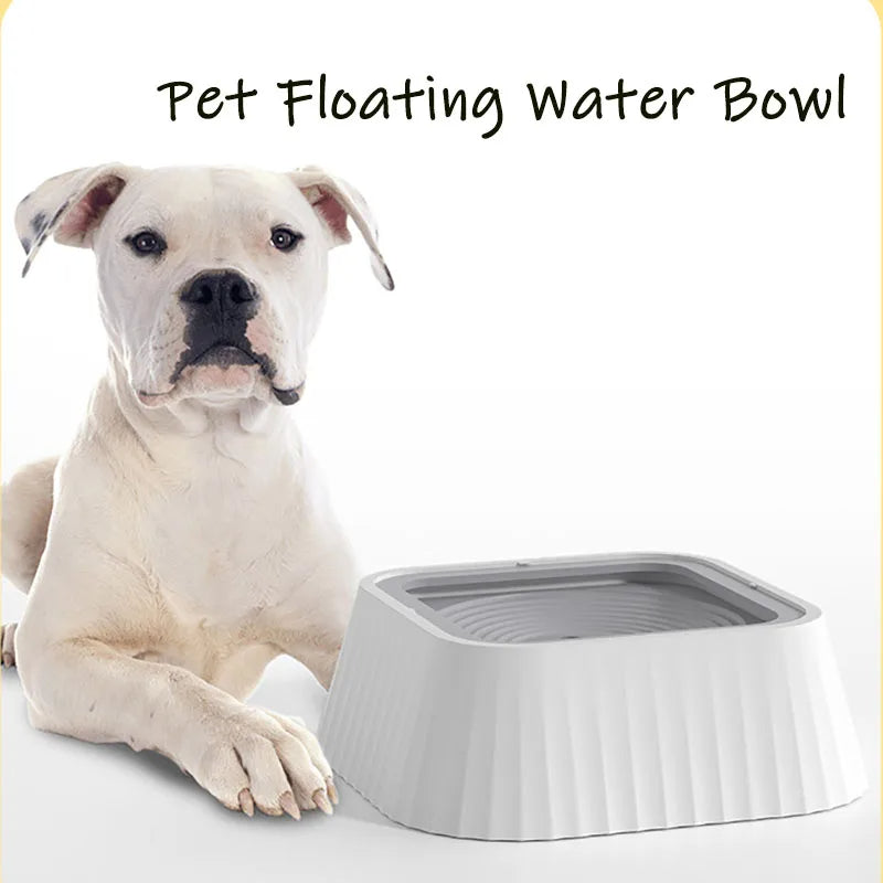 Dog lying next to a pet floating water bowl on a white background