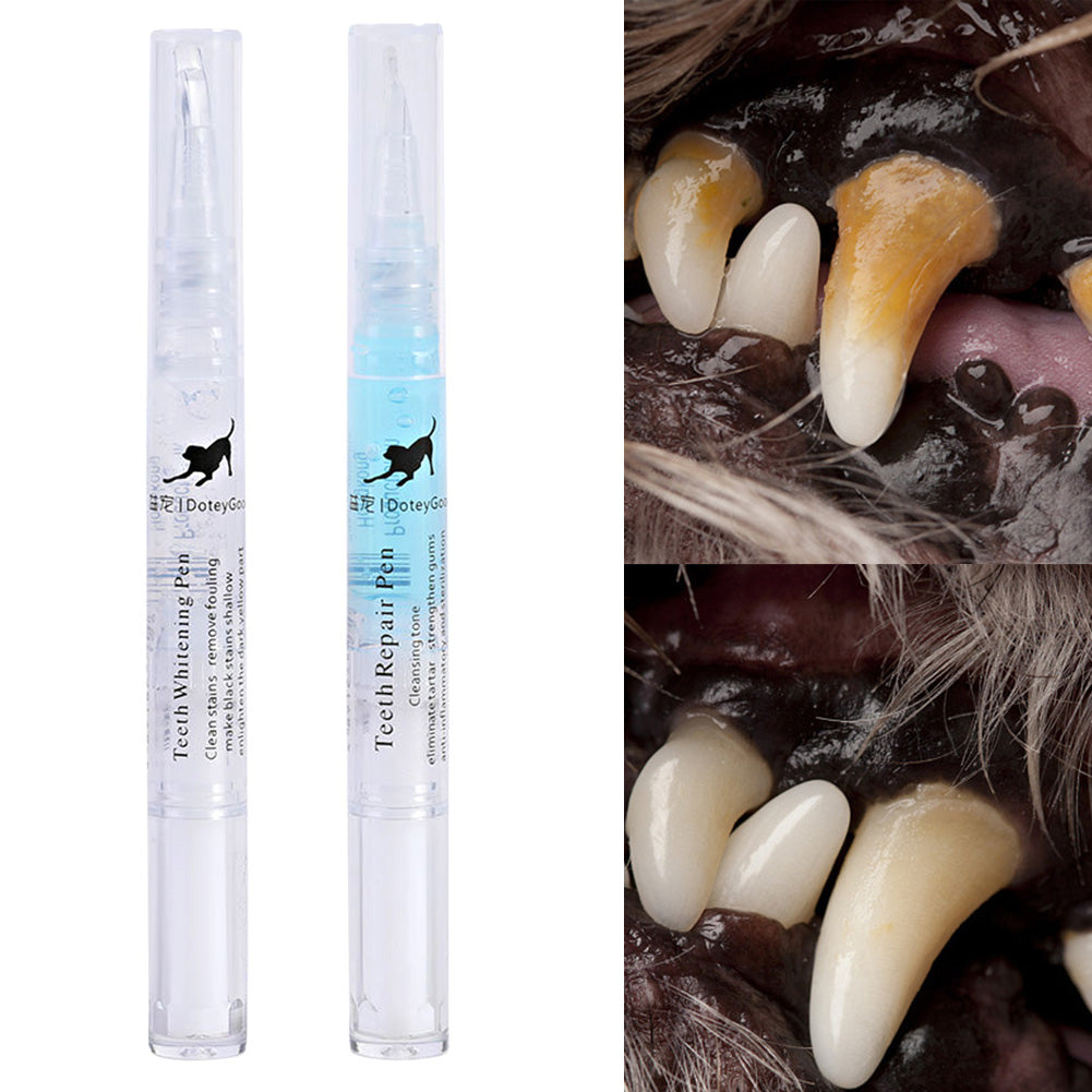 Teeth whitening pen with close-up images of dog teeth before and after use on a white background.