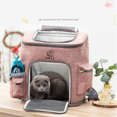 Pink pet carrier with a cat inside on a wooden surface, surrounded by decorative items.