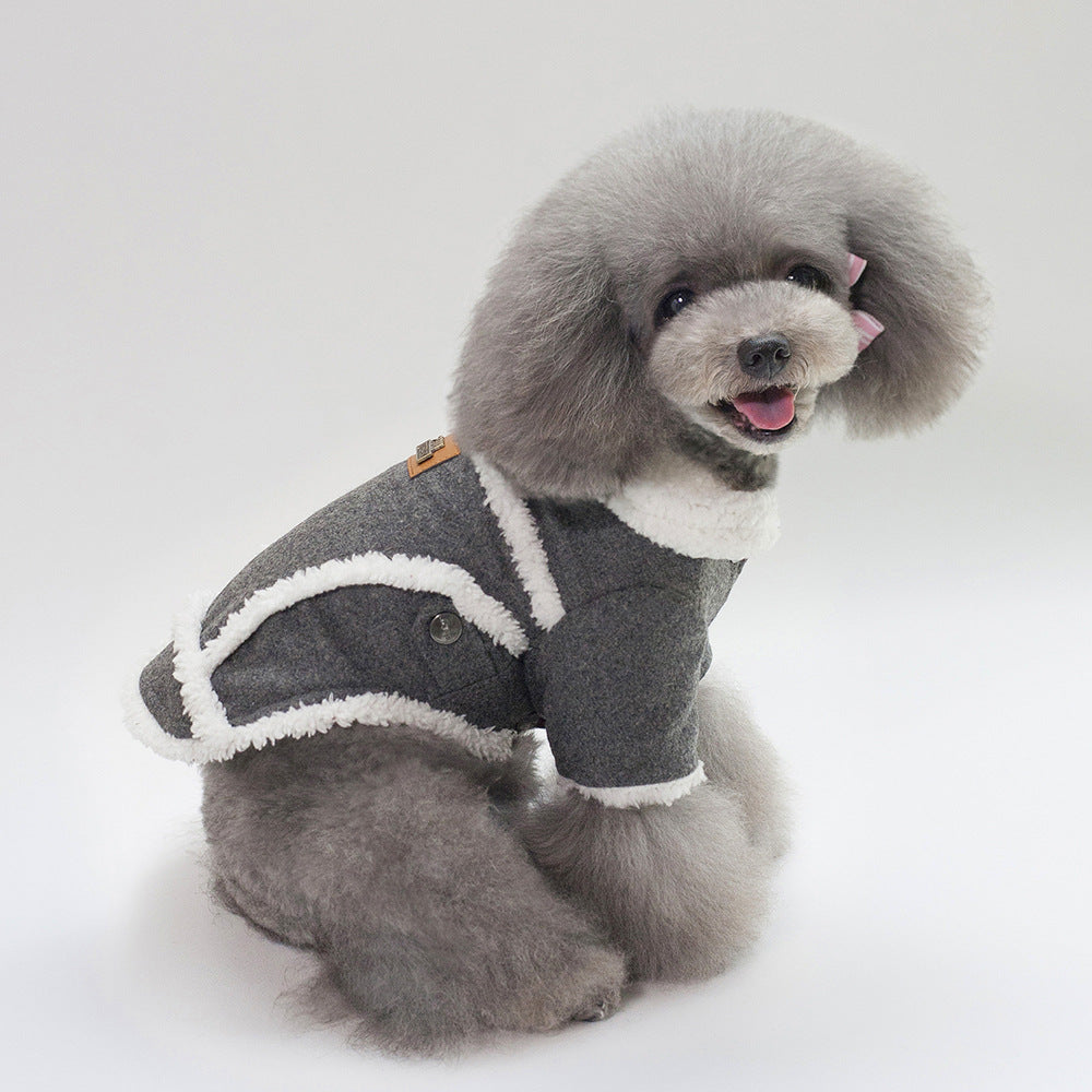 Dog wearing a gray sweater with white trim on a white background