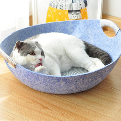 Cat lying in a blue pet bed on a wooden floor