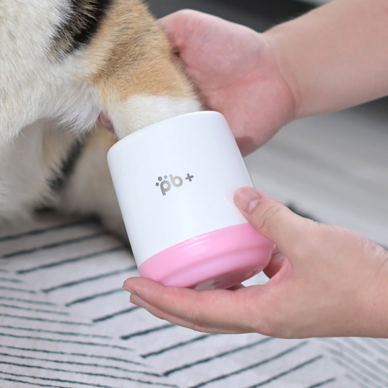 Portable Pet Foot Bath Basin