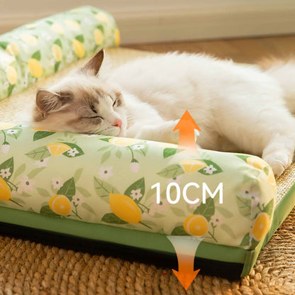 Cat lying on a green floral cushion with lemon pattern, showing a 10CM measurement.